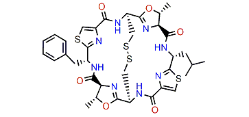 Ulithiacyclamide B